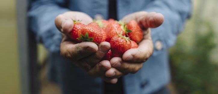 Les terroirs, au cœur de l'expertise Capfruit